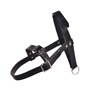 Rammenhalster met keelband, zwart leer