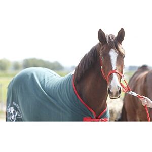 GrandNational Paardendeken Fleece 185cm