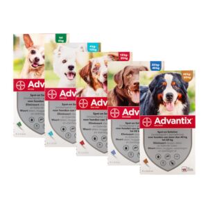 Advantix Hond