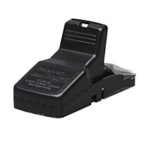 Muizenval Trapper mini-REX