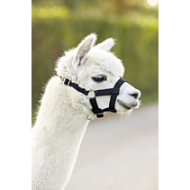 Halster Alpaca verstelbaar 20mm