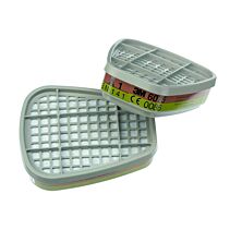6075D A1 filter 2 stuks