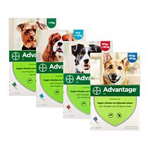 Advantage Hond 40-400